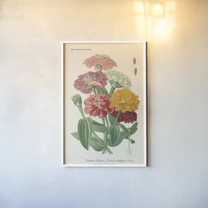 Antique Botanical XLI Light by Wild Apple Portfolio. shown as a paper print in a white frame. Available as a archival giclee rolled canvas, fine art paper, or poster print. SKU 55151h.