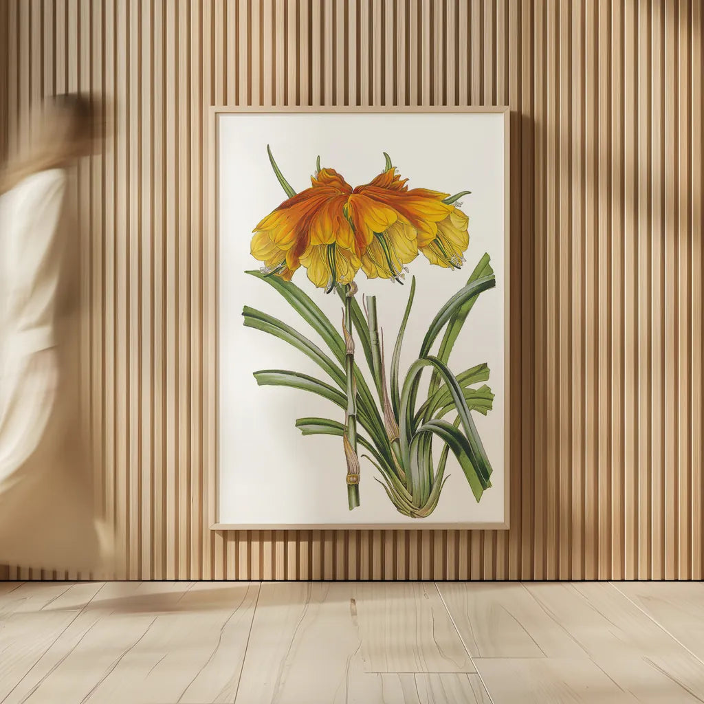 Antique Botanical XXIV on White by Wild Apple Portfolio. shown as over sized large wall art. Available as an archival giclee rolled canvas, fine art paper, or poster print. SKU 25351h.