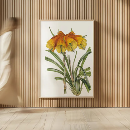 Antique Botanical XXIV on White by Wild Apple Portfolio. shown as over sized large wall art. Available as an archival giclee rolled canvas, fine art paper, or poster print. SKU 25351h.