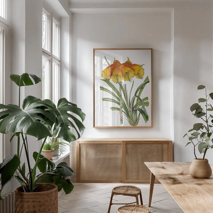 Antique Botanical XXIV on White by Wild Apple Portfolio. shown as a print in a natural wood frame in a dining room. Available as a archival giclee rolled canvas, fine art paper, or poster print. SKU 25351h.
