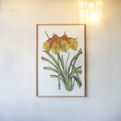 Antique Botanical XXIV on White by Wild Apple Portfolio. shown as a paper print in a natural frame. Available as a archival giclee rolled canvas, fine art paper, or poster print. SKU 25351h.
