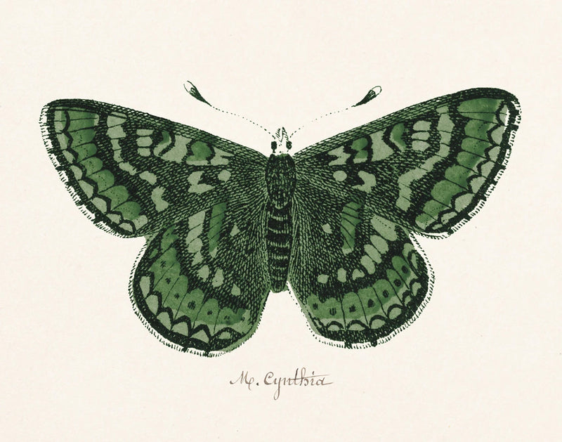 Antique Butterfly I by Wild Apple Portfolio