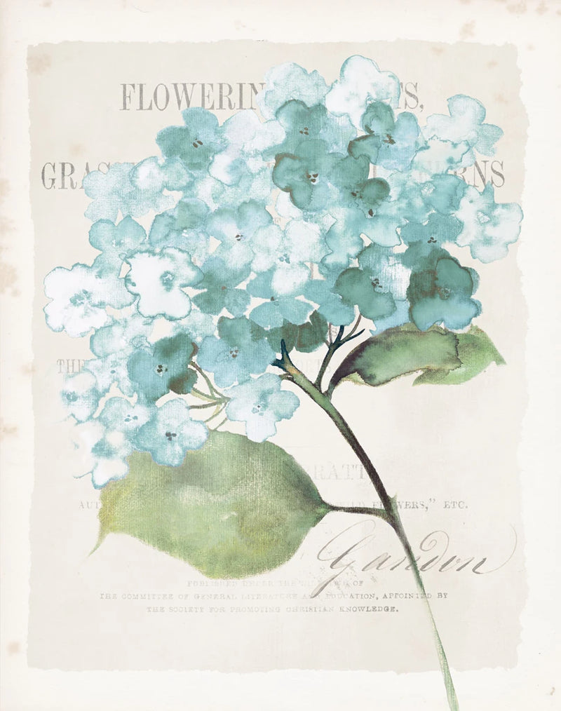 Antique Floral I Blue Vintage by Wild Apple Portfolio