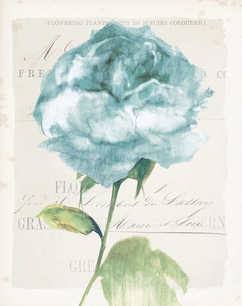 Antique Floral II Blue Vintage by Wild Apple Portfolio