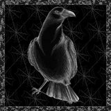Arsenic and Old Lace BW No Words I by Wild Apple Portfolio. SKU 93897a. Archival Giclee Fine art print for wall decor.