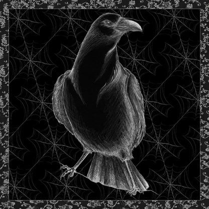 Arsenic and Old Lace BW No Words I by Wild Apple Portfolio. SKU 93897a. Archival Giclee Fine art print for wall decor.