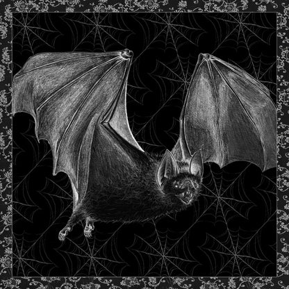 Arsenic and Old Lace BW No Words II by Wild Apple Portfolio. SKU 93898a. Archival Giclee Fine art print for wall decor.