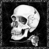 Arsenic and Old Lace BW No Words III by Wild Apple Portfolio. SKU 93899a. Archival Giclee Fine art print for wall decor.