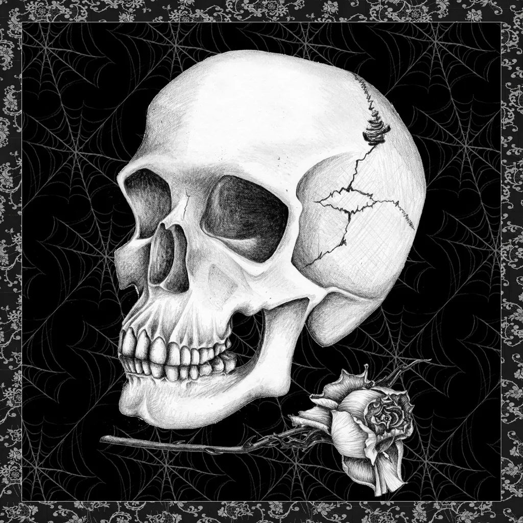 Arsenic and Old Lace BW No Words III by Wild Apple Portfolio. SKU 93899a. Archival Giclee Fine art print for wall decor.