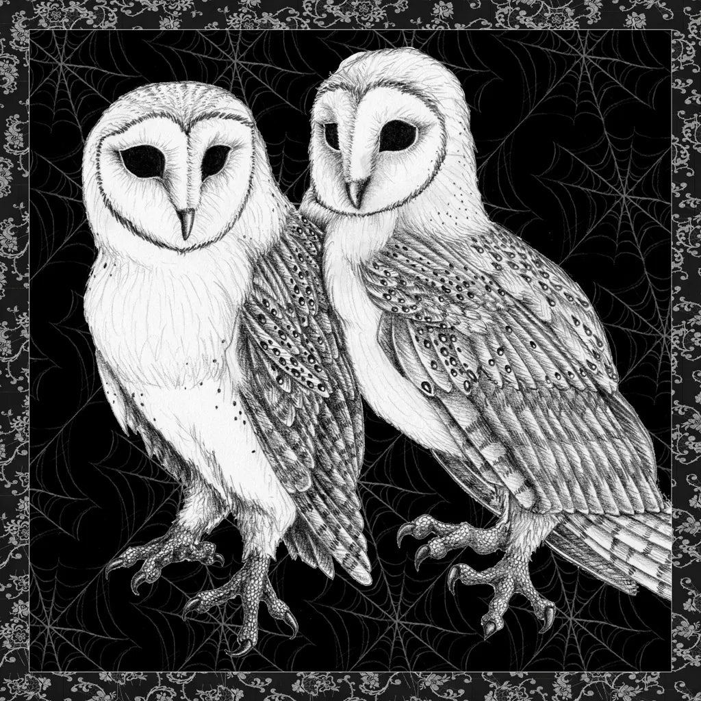 Arsenic and Old Lace BW No Words IV by Wild Apple Portfolio. SKU 93900a. Archival Giclee Fine art print for wall decor.