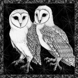 Arsenic and Old Lace BW No Words IV by Wild Apple Portfolio. SKU 93900a. Archival Giclee Fine art print for wall decor.