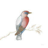 Arts and Crafts Birds I on White by Wild Apple Portfolio. SKU 61169a. Archival Giclee Fine art print for wall decor.