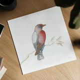 Arts and Crafts Birds I on White by Wild Apple Portfolio. Shown as a detailed flat fine art print, highlighting archival giclee quality. Available as an archival giclee rolled canvas, fine art paper, or poster print. SKU 61169a.