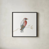 Arts and Crafts Birds I on White by Wild Apple Portfolio. Shown in a sleek black glass frame for a contemporary gallery look. Available as an archival giclee rolled canvas, fine art paper, or poster print. SKU 61169a.