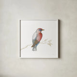 Arts and Crafts Birds I on White by Wild Apple Portfolio. Shown in a crisp white glass frame for a clean and minimalist style. Available as an archival giclee rolled canvas, fine art paper, or poster print. SKU 61169a.