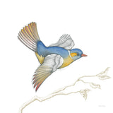 Arts and Crafts Birds III on White by Wild Apple Portfolio. SKU 61171a. Archival Giclee Fine art print for wall decor.