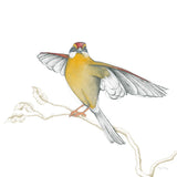 Arts and Crafts Birds IV on White by Wild Apple Portfolio. SKU 61172a. Archival Giclee Fine art print for wall decor.