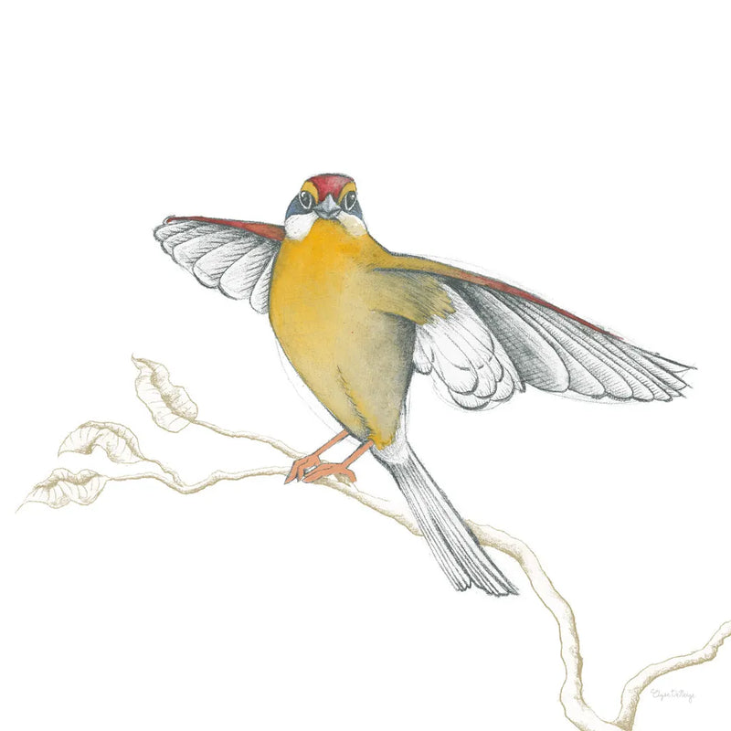Arts and Crafts Birds IV on White by Wild Apple Portfolio. SKU 61172a. Archival Giclee Fine art print for wall decor.