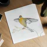 Arts and Crafts Birds IV on White by Wild Apple Portfolio. Shown as a detailed flat fine art print, highlighting archival giclee quality. Available as an archival giclee rolled canvas, fine art paper, or poster print. SKU 61172a.