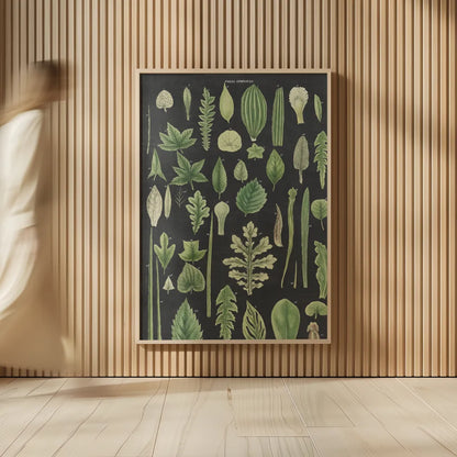 Assortment of Leaves II Charcoal Crop by Wild Apple Portfolio. shown as over sized large wall art. Available as an archival giclee rolled canvas, fine art paper, or poster print. SKU 50542h.