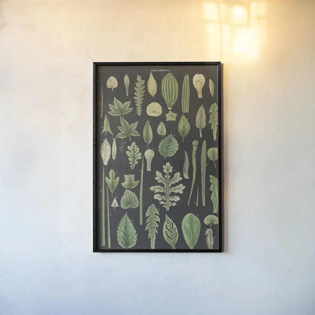 Assortment of Leaves II Charcoal Crop by Wild Apple Portfolio. shown as a paper print in a black flame. Available as a archival giclee rolled canvas, fine art paper, or poster print. SKU 50542h.