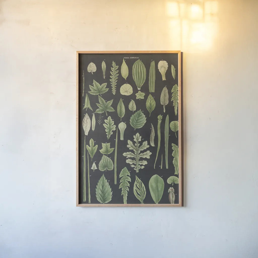 Assortment of Leaves II Charcoal Crop by Wild Apple Portfolio. shown as a paper print in a natural frame. Available as a archival giclee rolled canvas, fine art paper, or poster print. SKU 50542h.