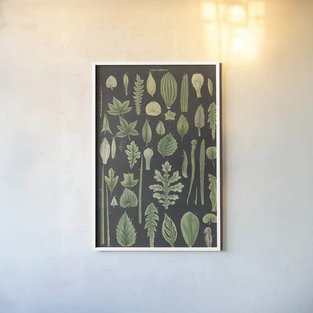 Assortment of Leaves II Charcoal Crop by Wild Apple Portfolio. shown as a paper print in a white frame. Available as a archival giclee rolled canvas, fine art paper, or poster print. SKU 50542h.