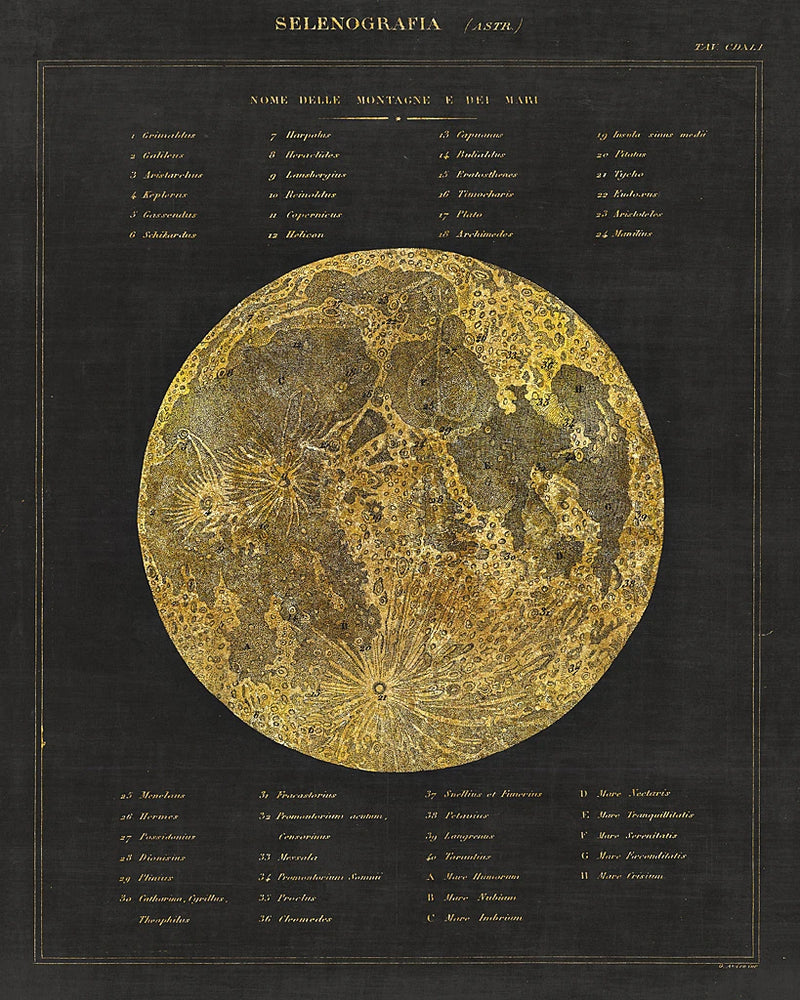 Astronomical Chart I by Wild Apple Portfolio