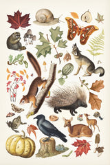 Autumn Chart I by Wild Apple Portfolio. SKU 101833h. Archival Giclee Fine art print for wall decor.