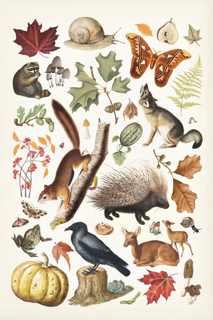 Autumn Chart I by Wild Apple Portfolio. SKU 101833h. Archival Giclee Fine art print for wall decor.