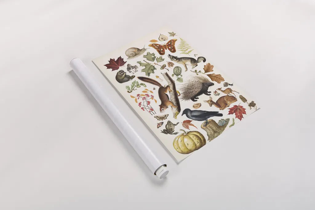 Autumn Chart I by Wild Apple Portfolio. shown as a rolled paper print. Available as archival giclee rolled canvas, fine art paper, or poster print. SKU 101833h.