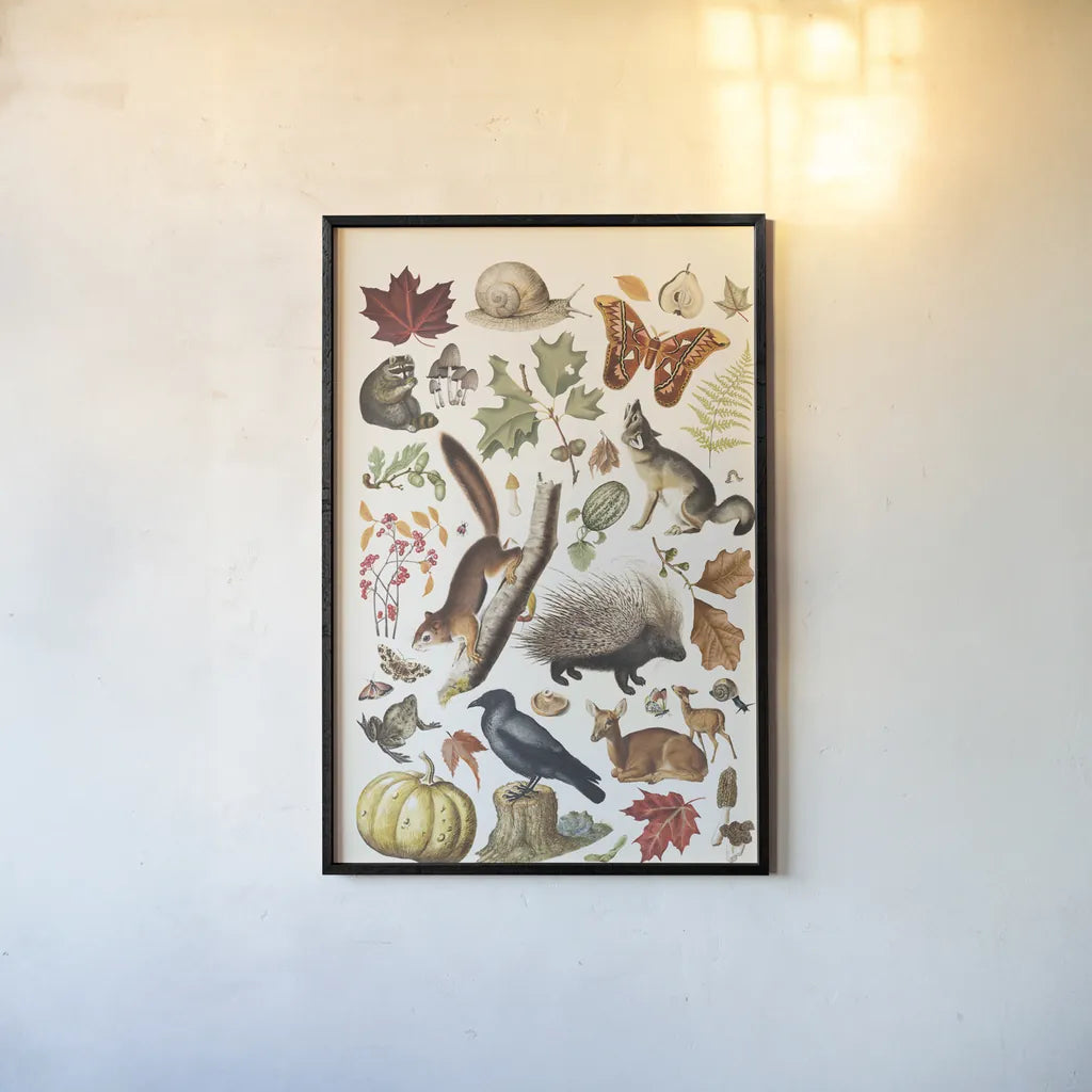Autumn Chart I by Wild Apple Portfolio. shown as a paper print in a black flame. Available as a archival giclee rolled canvas, fine art paper, or poster print. SKU 101833h.