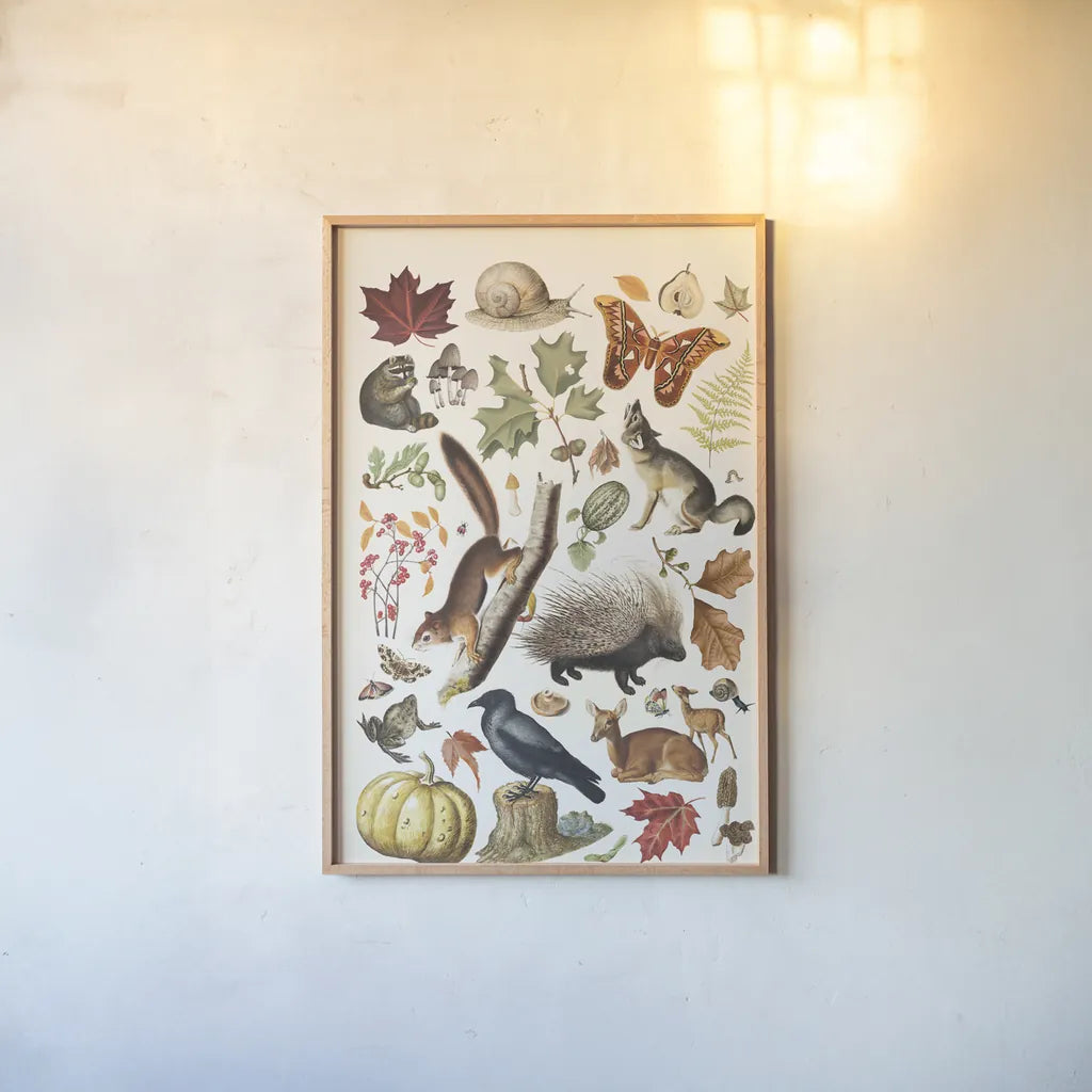 Autumn Chart I by Wild Apple Portfolio. shown as a paper print in a natural frame. Available as a archival giclee rolled canvas, fine art paper, or poster print. SKU 101833h.