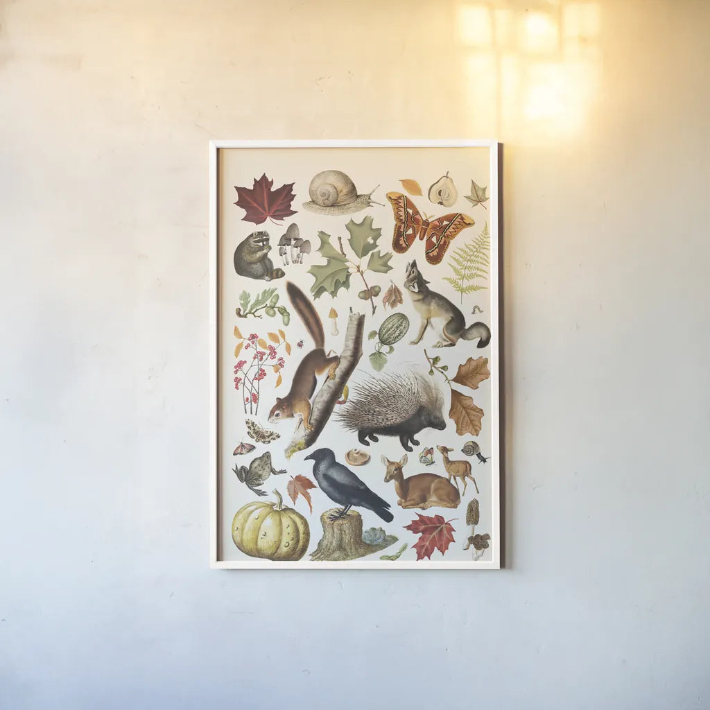 Autumn Chart I by Wild Apple Portfolio. shown as a paper print in a white frame. Available as a archival giclee rolled canvas, fine art paper, or poster print. SKU 101833h.