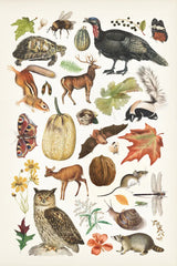Autumn Chart II by Wild Apple Portfolio. SKU 101835h. Archival Giclee Fine art print for wall decor.