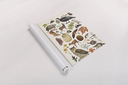 Autumn Chart II by Wild Apple Portfolio. shown as a rolled paper print. Available as archival giclee rolled canvas, fine art paper, or poster print. SKU 101835h.