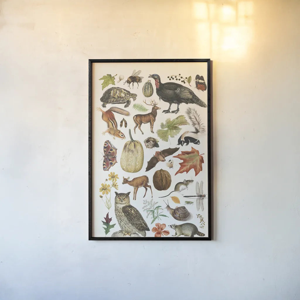 Autumn Chart II by Wild Apple Portfolio. shown as a paper print in a black flame. Available as a archival giclee rolled canvas, fine art paper, or poster print. SKU 101835h.