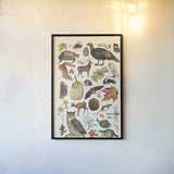 Autumn Chart II by Wild Apple Portfolio. shown as a paper print in a black flame. Available as a archival giclee rolled canvas, fine art paper, or poster print. SKU 101835h.