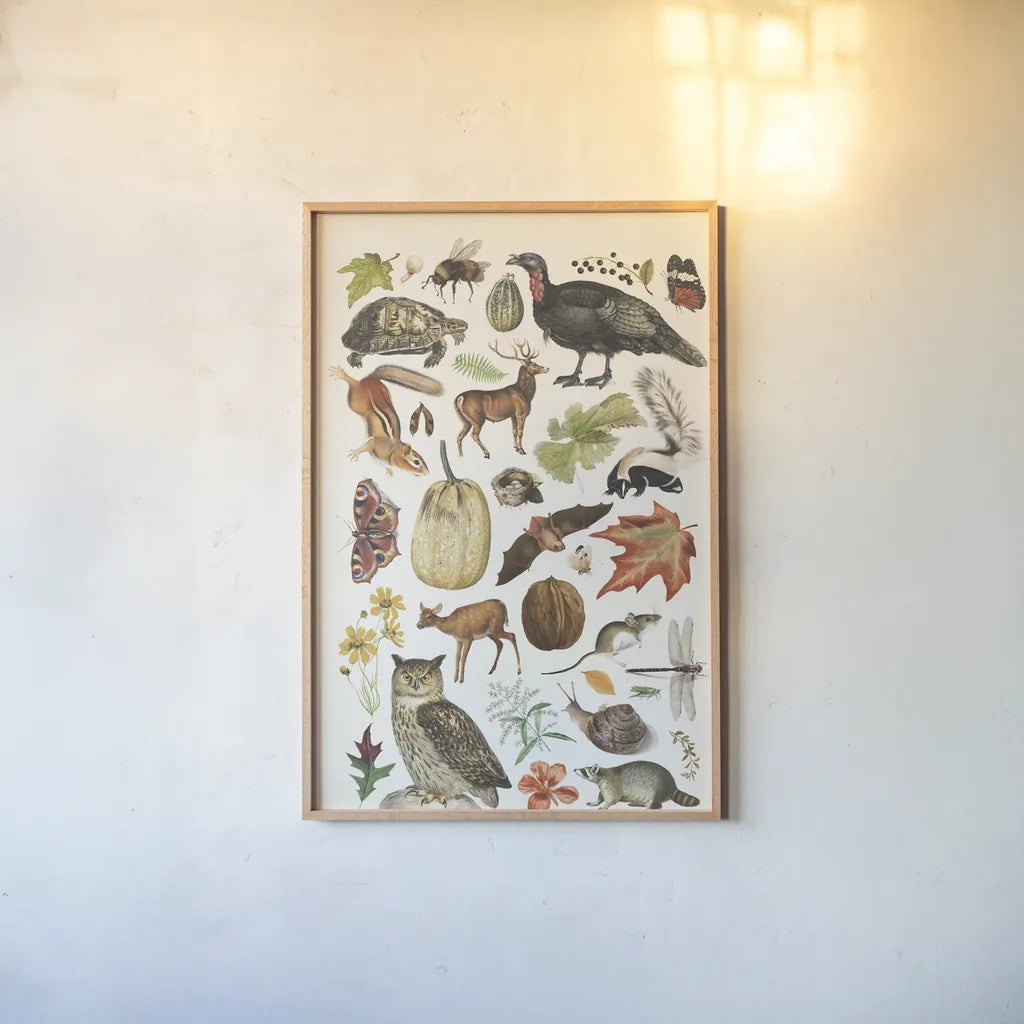 Autumn Chart II by Wild Apple Portfolio. shown as a paper print in a natural frame. Available as a archival giclee rolled canvas, fine art paper, or poster print. SKU 101835h.