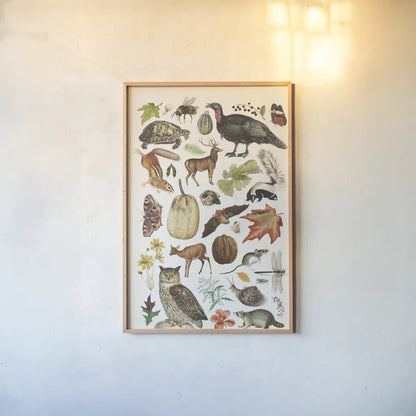 Autumn Chart II by Wild Apple Portfolio. shown as a paper print in a natural frame. Available as a archival giclee rolled canvas, fine art paper, or poster print. SKU 101835h.