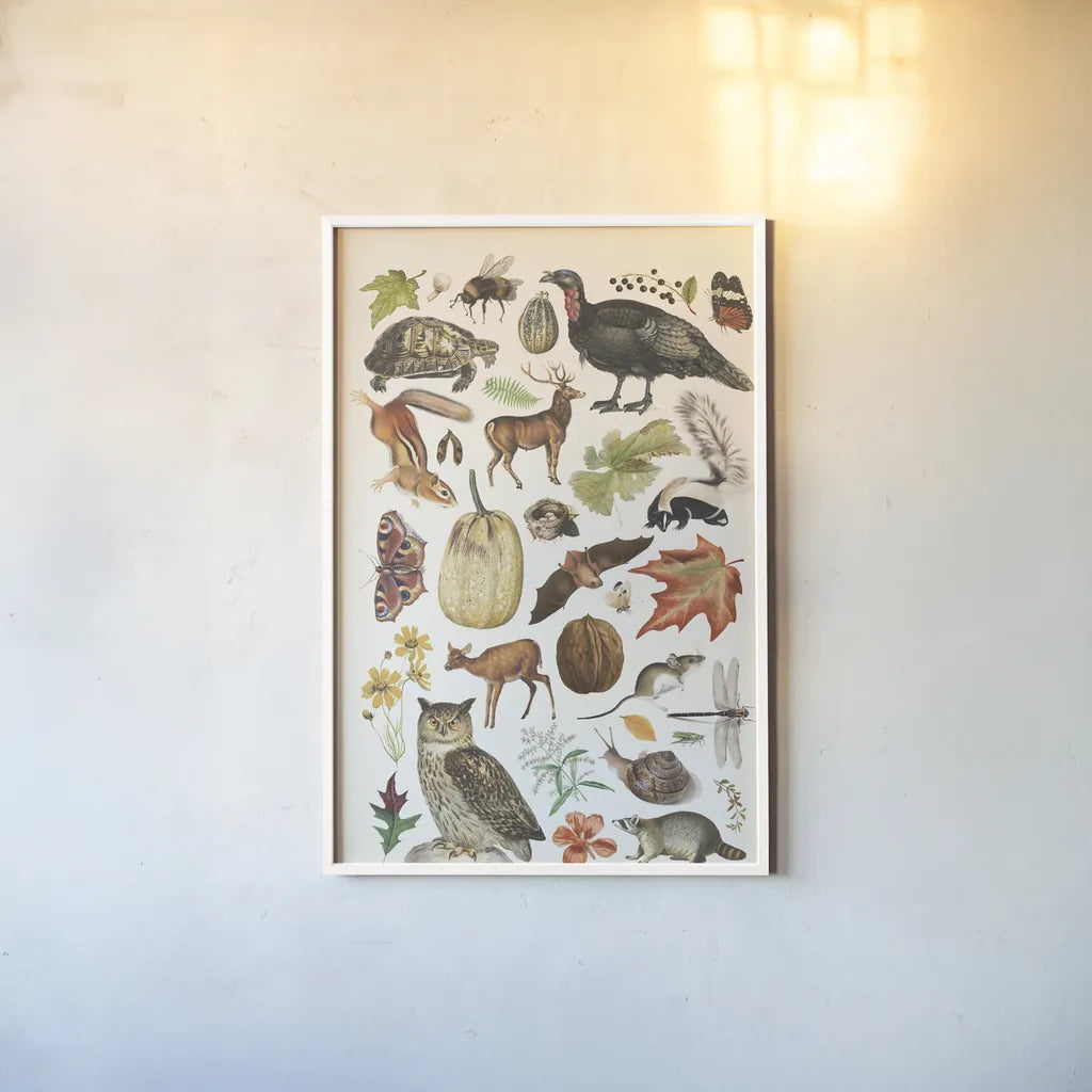 Autumn Chart II by Wild Apple Portfolio. shown as a paper print in a white frame. Available as a archival giclee rolled canvas, fine art paper, or poster print. SKU 101835h.