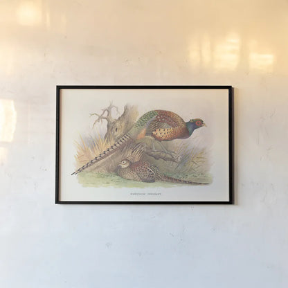 Autumn Pheasant by Wild Apple Portfolio. shown as a paper print in a black flame. Available as a archival giclee rolled canvas, fine art paper, or poster print. SKU 84822i.