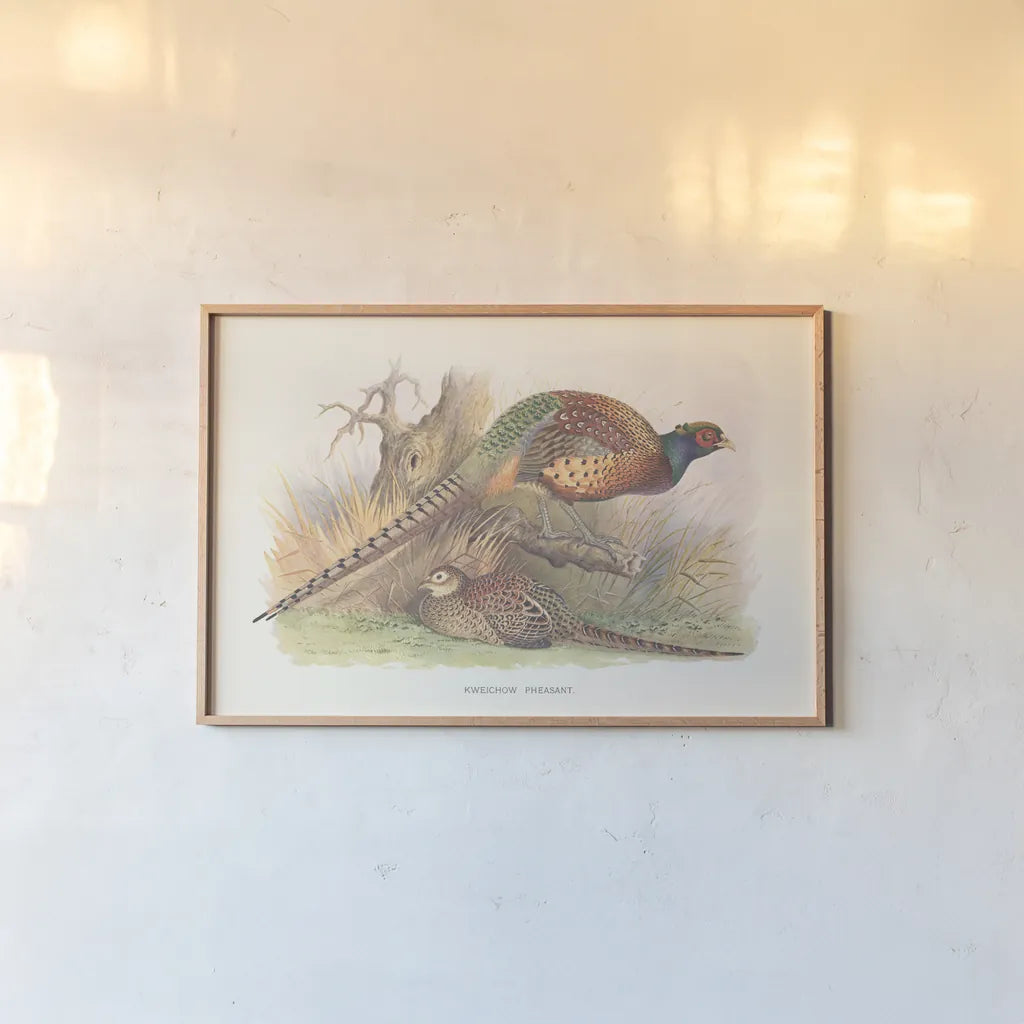 Autumn Pheasant by Wild Apple Portfolio. shown as a paper print in a natural frame. Available as a archival giclee rolled canvas, fine art paper, or poster print. SKU 84822i.