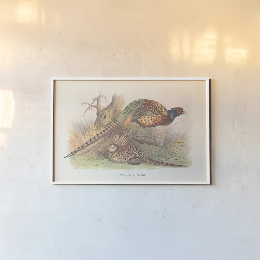 Autumn Pheasant by Wild Apple Portfolio. shown as a paper print in a white frame. Available as a archival giclee rolled canvas, fine art paper, or poster print. SKU 84822i.
