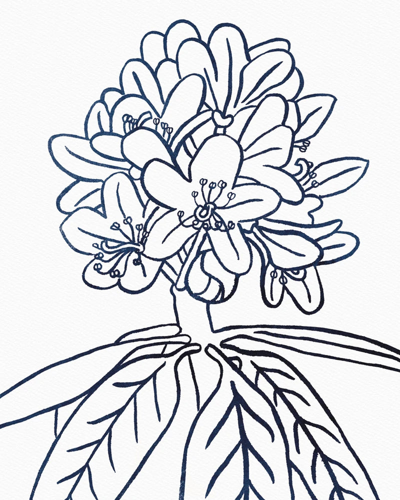 BW Blooms II by Wild Apple Portfolio