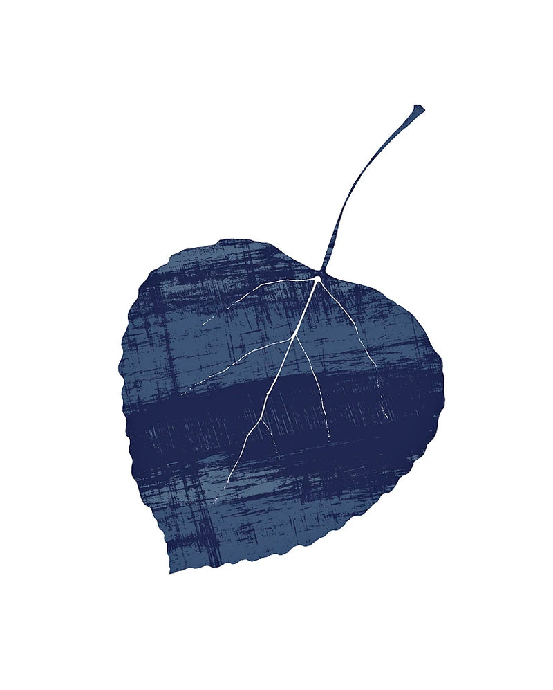 Big Leaf Indigo by Wild Apple Portfolio