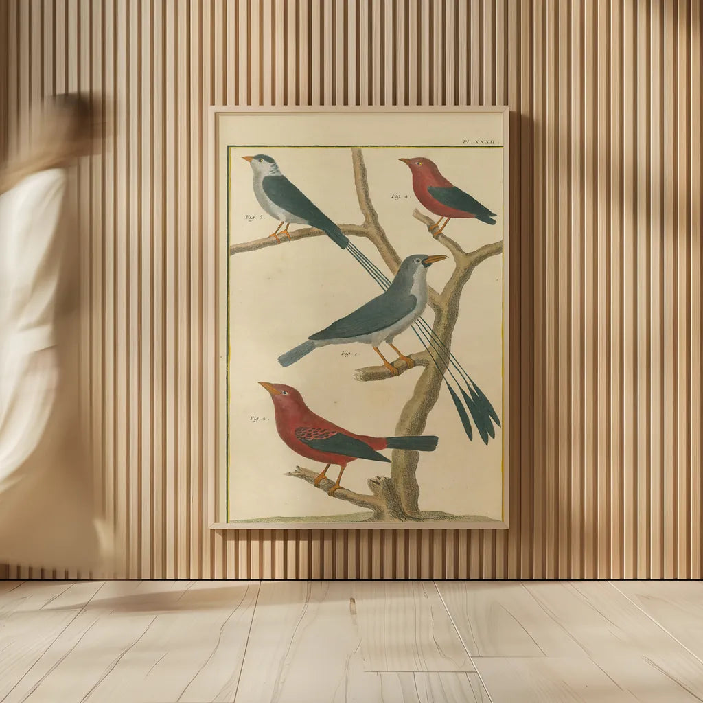 Bird Drawing III Crop by Wild Apple Portfolio. shown as over sized large wall art. Available as an archival giclee rolled canvas, fine art paper, or poster print. SKU 15814h.