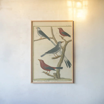 Bird Drawing III Crop by Wild Apple Portfolio. shown as a paper print in a natural frame. Available as a archival giclee rolled canvas, fine art paper, or poster print. SKU 15814h.