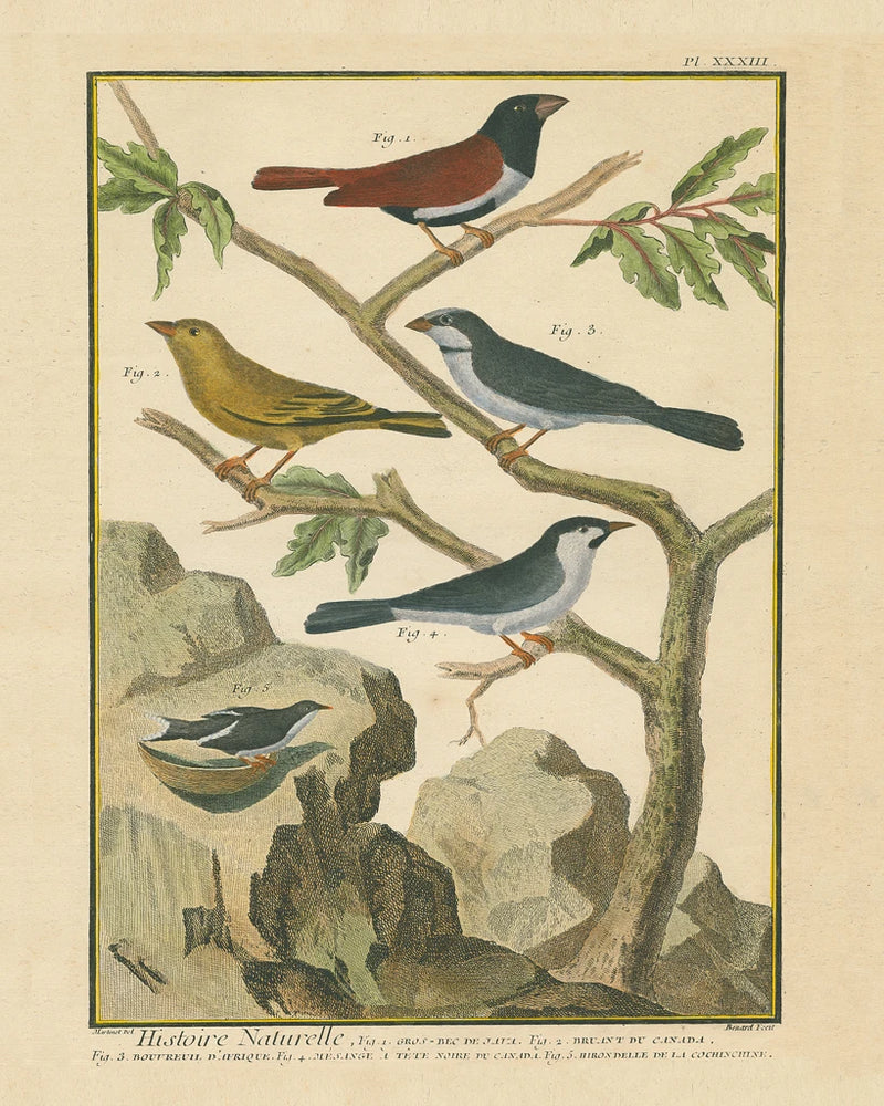 Bird Drawing IV Crop by Wild Apple Portfolio
