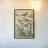 Bird Drawing IV Crop by Wild Apple Portfolio. shown as a paper print in a black flame. Available as a archival giclee rolled canvas, fine art paper, or poster print. SKU 15815h.